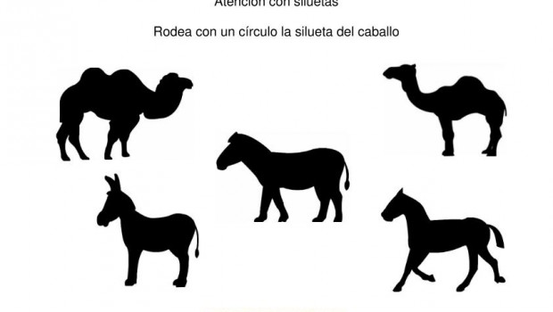 siluetas animales domesticos caballo