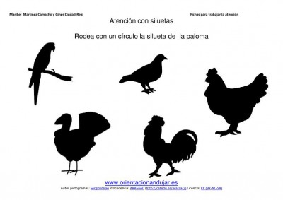 señala la silueta del animal doméstico aprendido imegenes_13