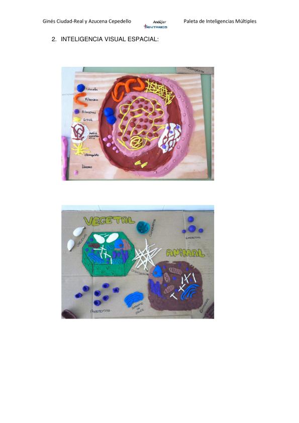 Paleta de inteligencias múltiples_19