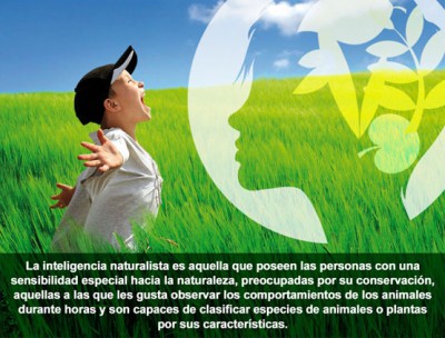 inteligencia_naturalista