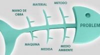 La inteligencia no es algo fijo sino modificable. El enfoque actual de la inteligencia no la identifica tanto con los conocimientos sino con el repertorio de habilidades que permiten actuar […]