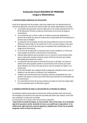 plantilla de correccion 2º primaria imagen