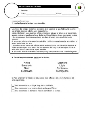 Evaluación Inicial Lengua 4º IMAGEN