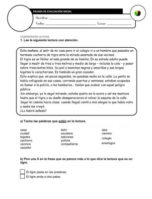 Evaluación Inicial Lengua 6º IMAGEN