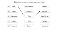 La Conciencia Semántica, es la capacidad para otorgar un significado a un significante (palabra) que ha sido establecido arbitrariamente para denominar un elemento o concepto. Por esto es muy importante […]