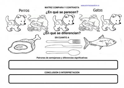 COMPARA CONTRASTA perros y gatos