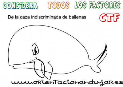 caza de ballenas ctf