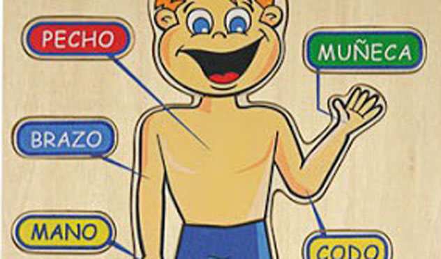 Discriminación Auditiva Los sonidos del cuerpo humano Hemos preparado este video con el que vamos a trabajar la discriminación auditiva y mas concretamente vamos a aprender los sonidos del cuerpo humano.  LOS SONIDOS DEL CUERPO HUMANO