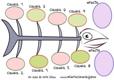 organizador grafico ocho causas dos efectos Ishikawa espina de pescado círculos COLOR IMAGEN