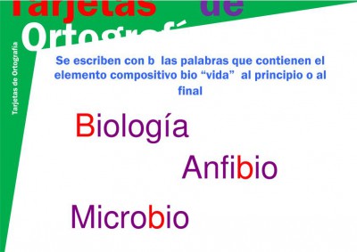 tarjeta b-8 bio_vida imagen