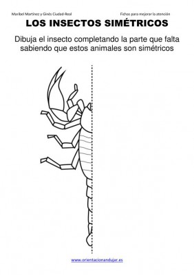 los insectos simetricos trabajamos  lateralidad  izq-dcha ORIENTACION ANDUJAR 2