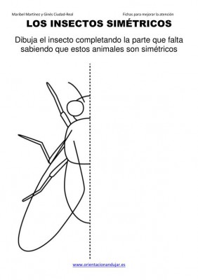 los insectos simetricos trabajamos  lateralidad  izq-dcha ORIENTACION ANDUJAR05 (1)