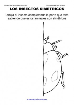 los insectos simetricos trabajamos  lateralidad  izq-dcha ORIENTACION ANDUJAR05 (12)