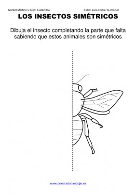 los insectos simetricos trabajamos  lateralidad  izq-dcha ORIENTACION ANDUJAR05 (15)