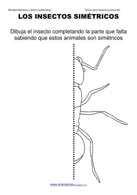 los insectos simetricos trabajamos  lateralidad  izq-dcha ORIENTACION ANDUJAR05 (16)
