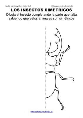 los insectos simetricos trabajamos  lateralidad  izq-dcha ORIENTACION ANDUJAR05 (17)