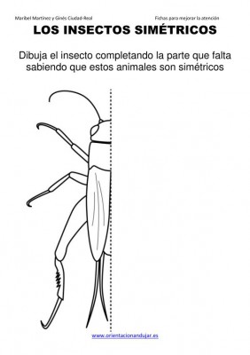 los insectos simetricos trabajamos  lateralidad  izq-dcha ORIENTACION ANDUJAR05 (2)