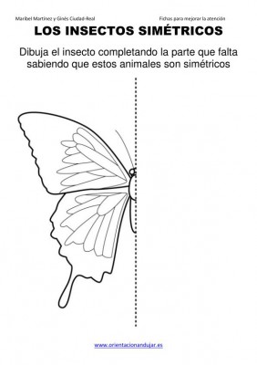 los insectos simetricos trabajamos  lateralidad  izq-dcha ORIENTACION ANDUJAR05 (3)