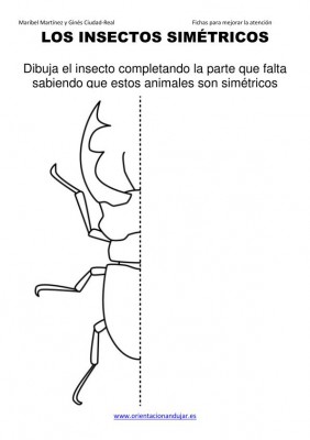 los insectos simetricos trabajamos  lateralidad  izq-dcha ORIENTACION ANDUJAR05 (4)