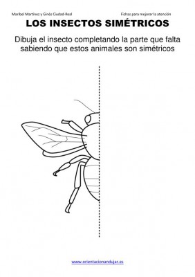 los insectos simetricos trabajamos  lateralidad  izq-dcha ORIENTACION ANDUJAR05 (5)