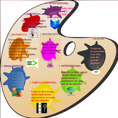 paleta de inteligencias multiples la digestion