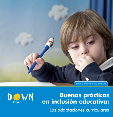 BUENAS PRACTICAS DE INCLUSION IMAGEN