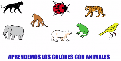 aprendemos lo colores con animales