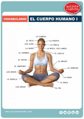 lamina para aprende vocabulario el cuerpo humano