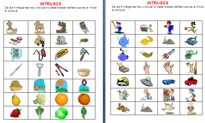 Trabajamos la categorización con intrusos