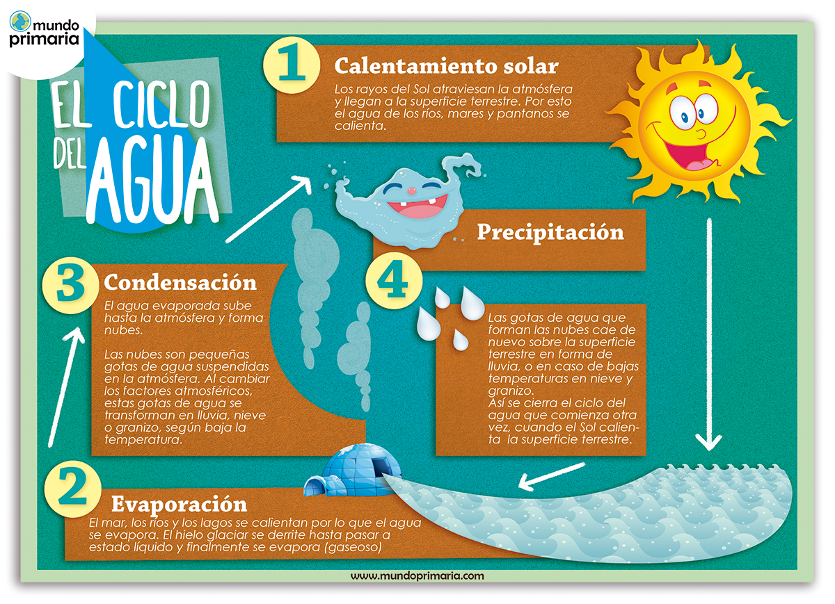 Ranura círculos en el agua descargar