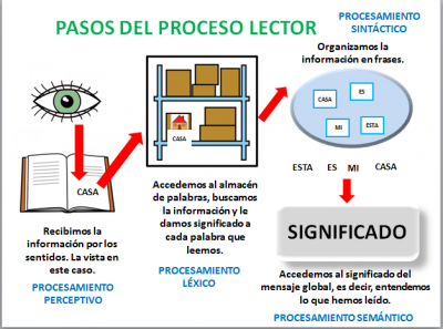 proceso lector