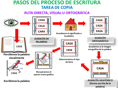 COPIA RUTA VISUAL