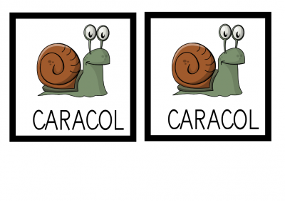 MEMORY CARACOL