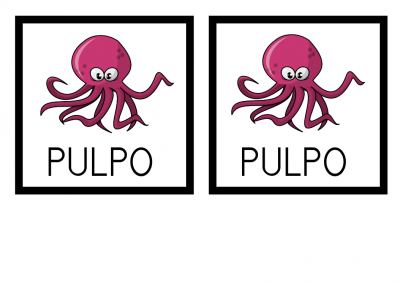 MEMORY PULPO