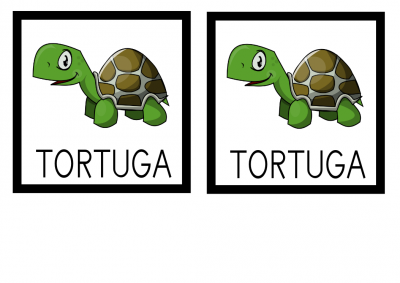 MEMORY TORTUGA