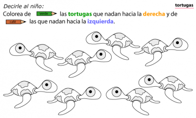 tortugas