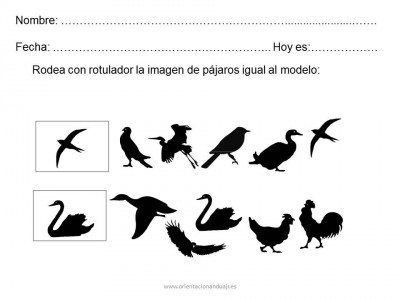 Diapositiva14