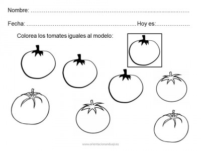 cuderno habilidades basicas 2 imagenes (13)