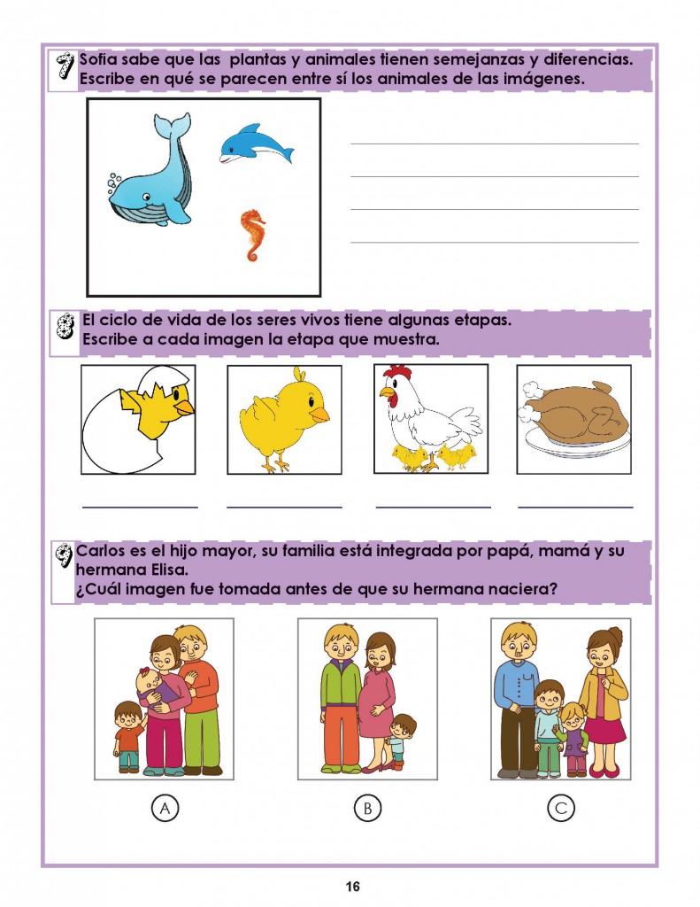Cuaderno de repaso escolar primavera ideal para primer grado o primero ...