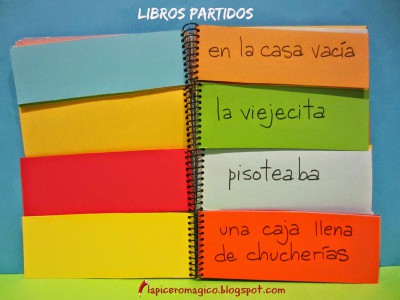 Libros partidos 1b