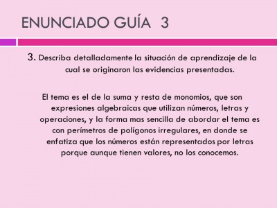 Portafolio de evidencias con enunciados guías(25)