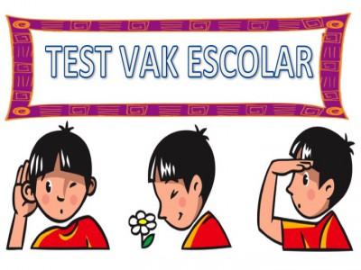 Test de estilos de aprendizaje de Vak ESCOLAR. Infantil, primaria y secundaria.
