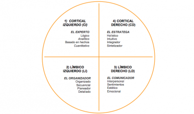 Tes DE ESTILOS DE APRENDIZAJE  Modelo de Cuadrantes cerebrales Test alumnos y docentes