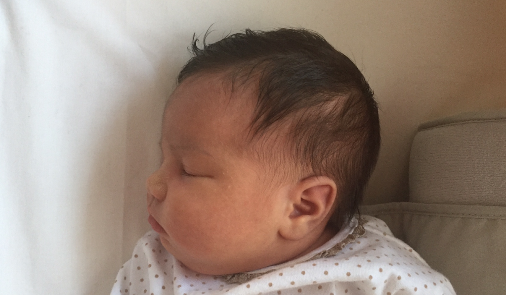 Estos días mis papis os han tenido  algo abandonados y el motivo es muy especial, desde el martes estoy aquí con ellos, me llamo Vera y en estos primeros días, [&hellip;]