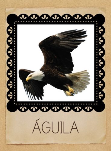 TARJETAS VOCABULARIO LETRA A (24)