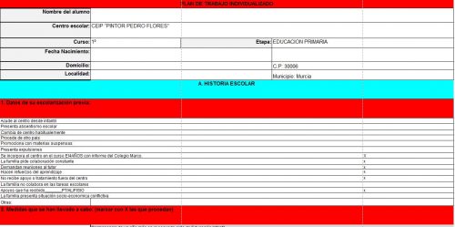 PLAN DE TRABAJO INDIVIDUALIZADO DE ACNEE EN EDITABLE EXCELL