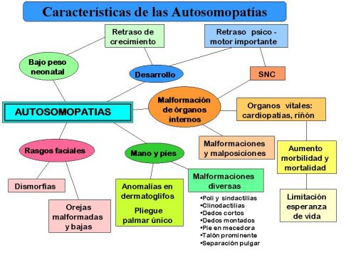 mapa autosomopatias