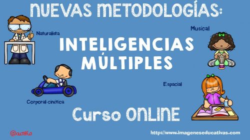 curso iimm on line