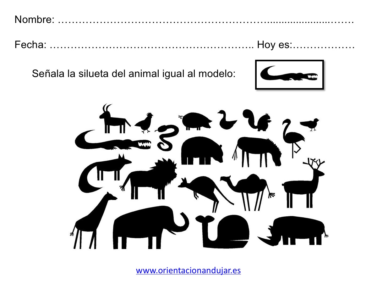 cuaderno-habilidades-basicas20