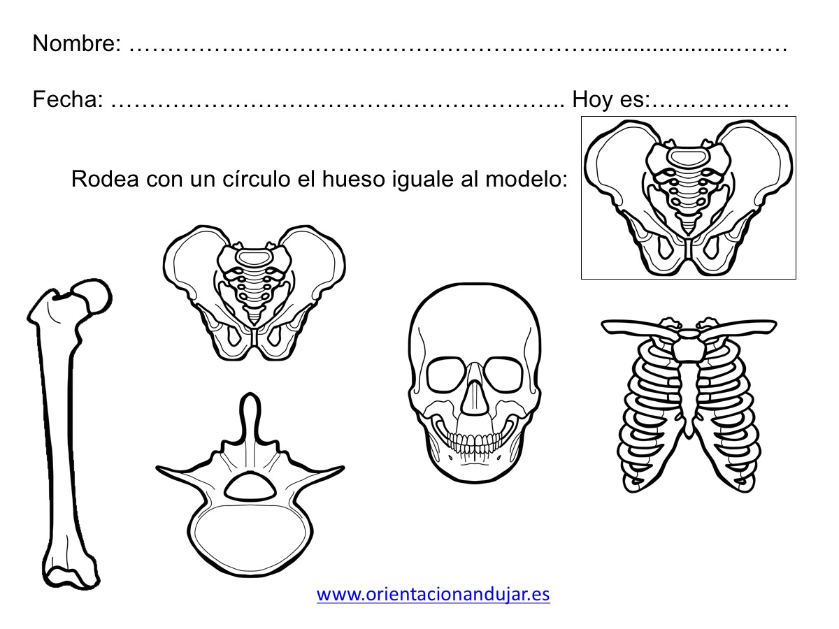 cuaderno-habilidades-basicas25